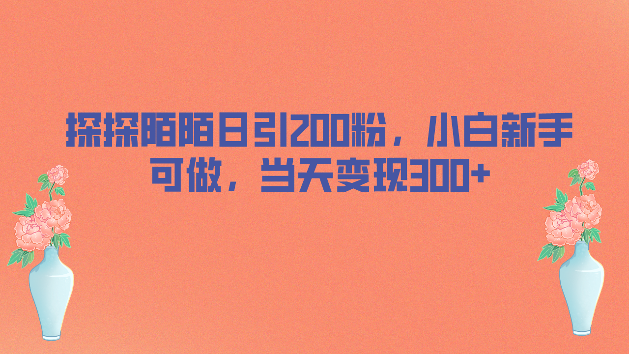 探探陌陌日引200粉，小白新手可做，当天就能变现300+-尖峰创圈资源站